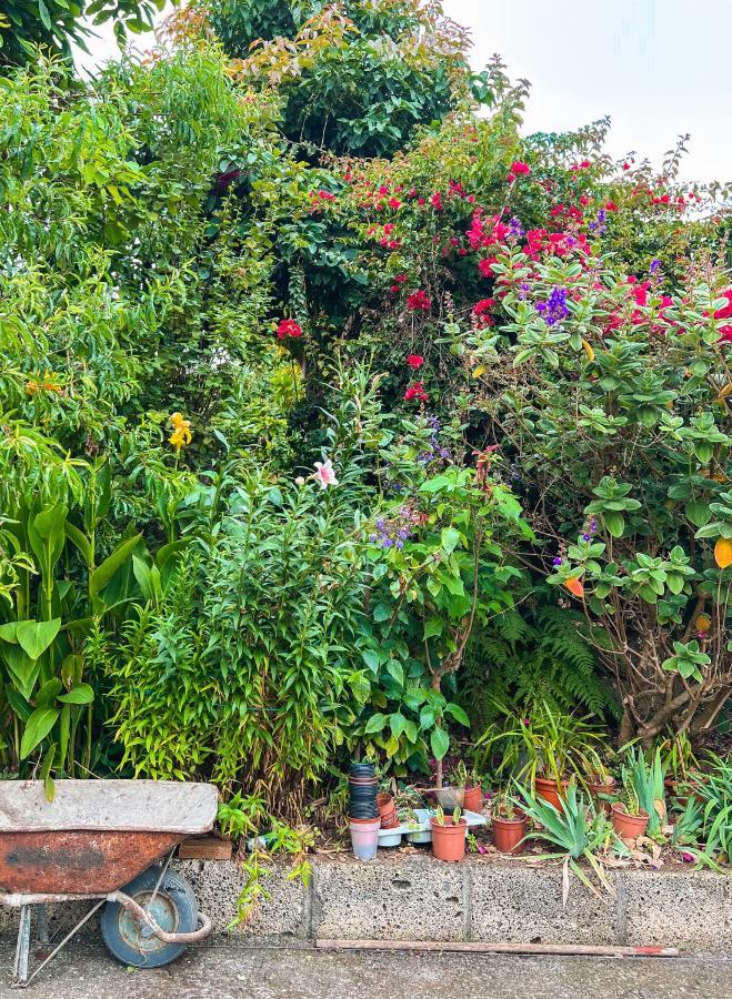 Apartment With Huge Deck Nestled In Marvelous Gardens - Nidos La Orotava Buitenkant foto