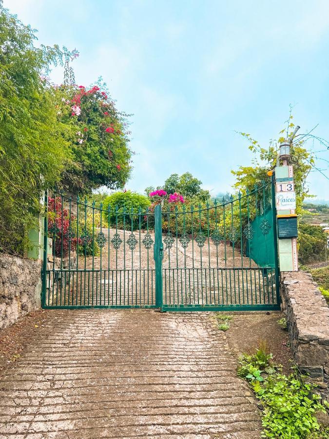 Apartment With Huge Deck Nestled In Marvelous Gardens - Nidos La Orotava Buitenkant foto