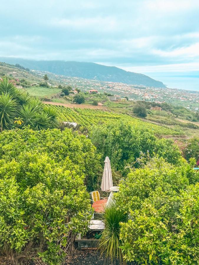 Apartment With Huge Deck Nestled In Marvelous Gardens - Nidos La Orotava Buitenkant foto